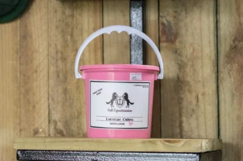 Lucerne Cube Treat Bucket