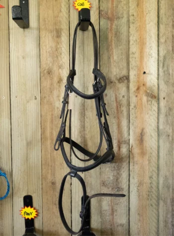 Capriole Bridle
